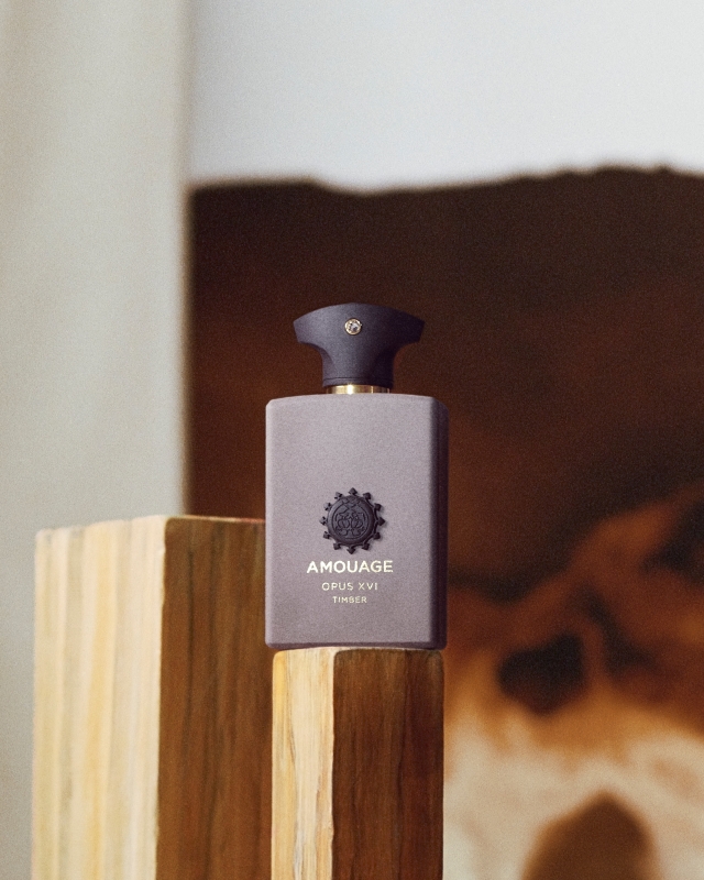 IC &Co Blogs